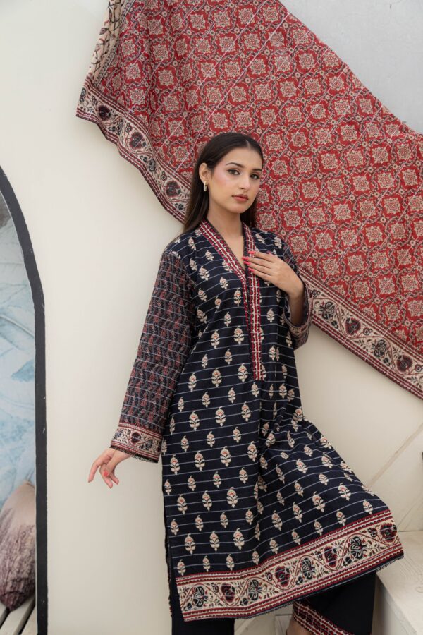 Raven - 3 piece khaddar suit