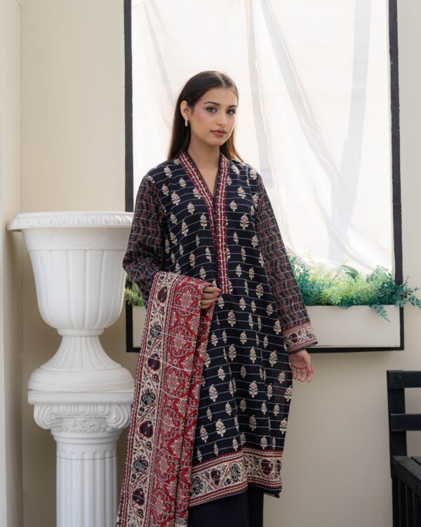 Raven - 3 piece khaddar suit - Image 3