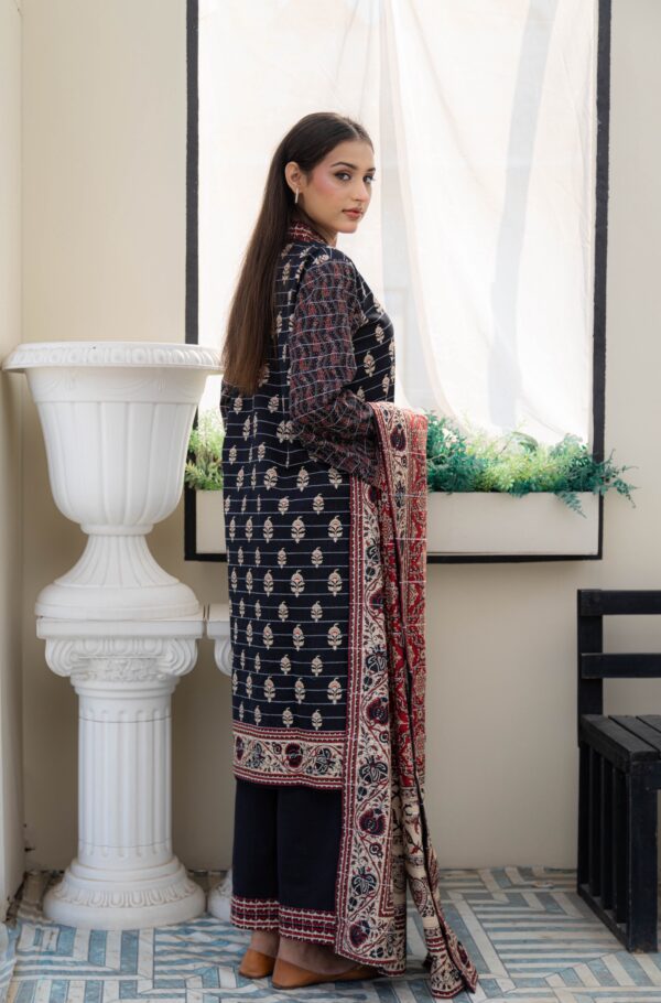 Raven - 3 piece khaddar suit - Image 2