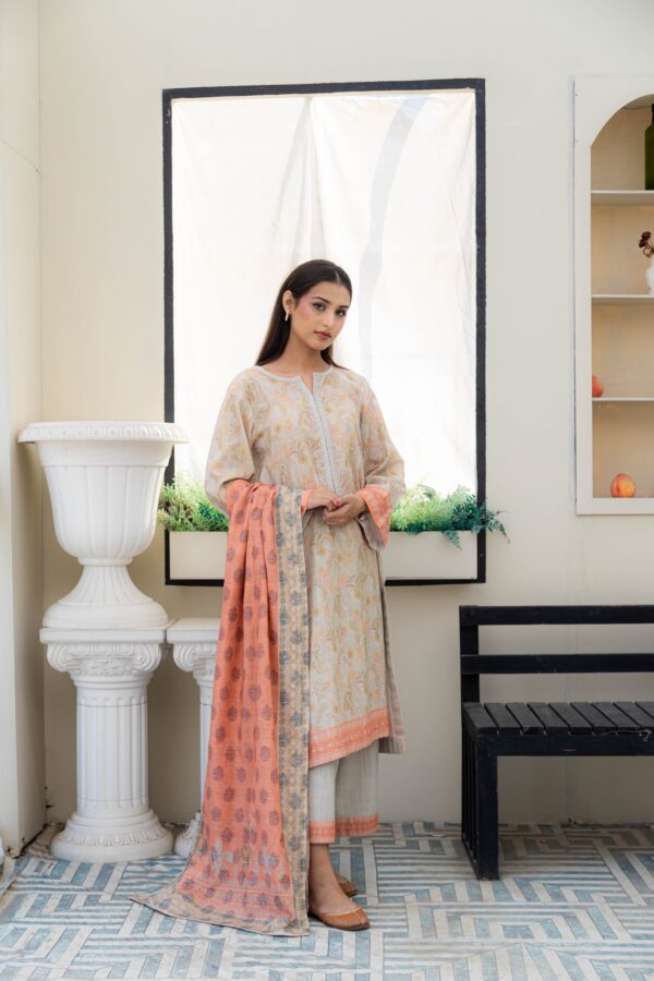 Nude elegance - 3 piece khaddar suit (unstitched) - Image 3